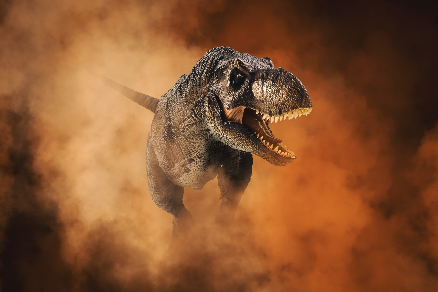 Image of a t-rex.