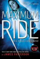 Angel experiment book cover