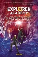 Falcon&#039;s feather book cover