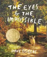 the eyes &amp; the impossible cover