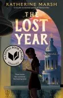 Lost Year