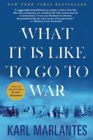 What it is Like to go to War