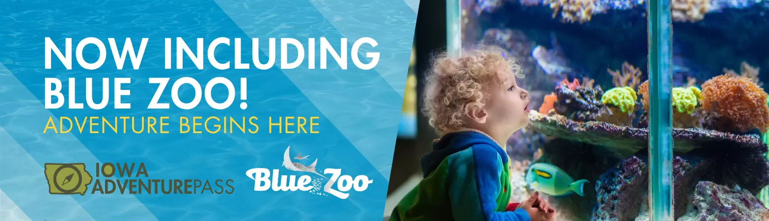 Blue Zoo