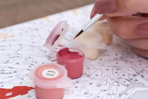 Take & Make: Paint-by-Numbers Art Kit