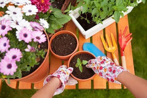 Snacks & Facts: Veggie Gardening 101