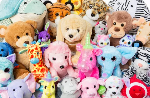 Stuffed Animal Sleepover