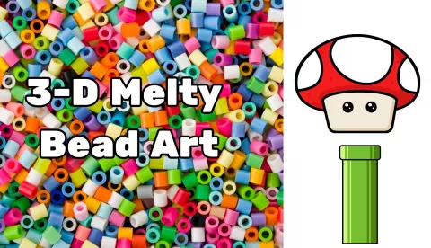Adult Maker Packs